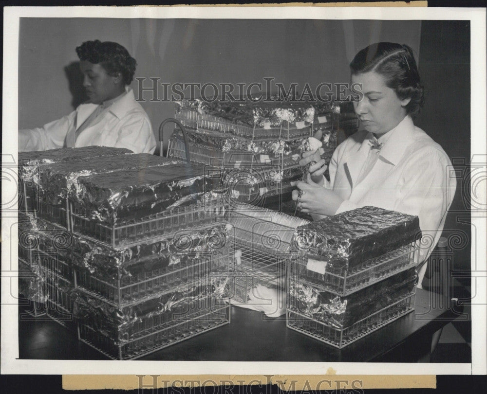 1955 Press Photo Kenneth Bailey Lab Technician Phenol Red Test Polio - Historic Images