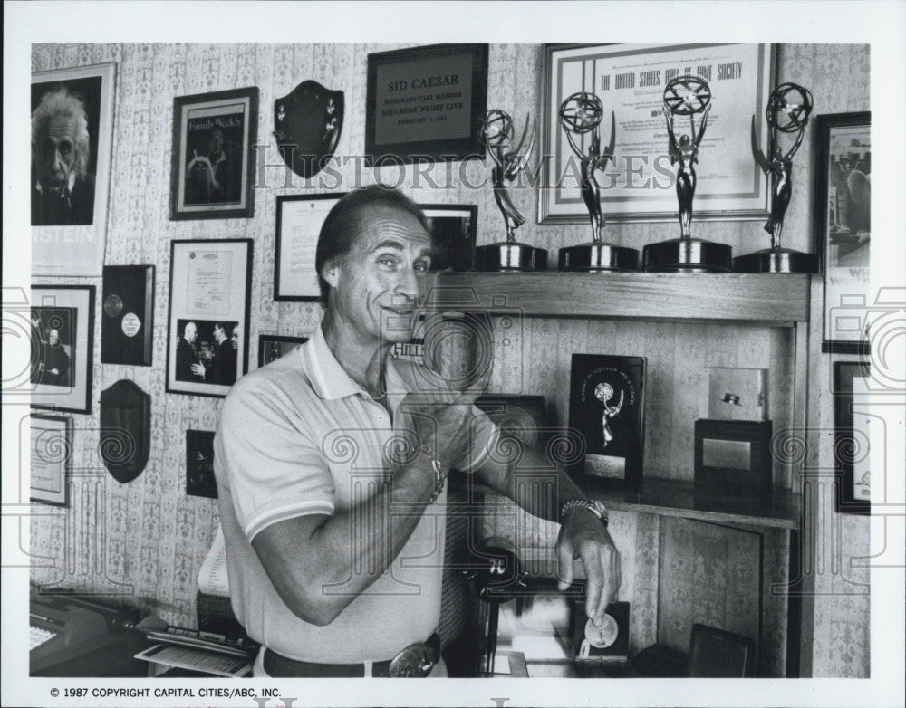 1987 Press Photo Actor Sid Caesar for &quot;Fame,Fortune &amp; Romance&quot; - Historic Images