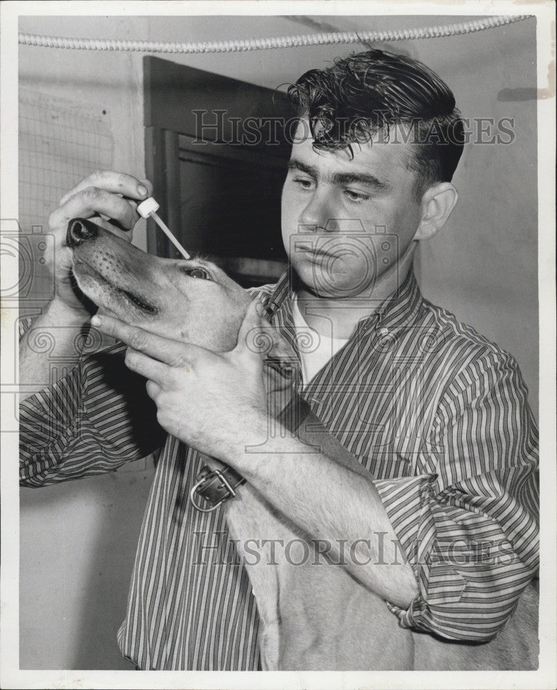 1960 Press Photo Don Ryan Wonderland Dog Trainer With Straight Run - Historic Images