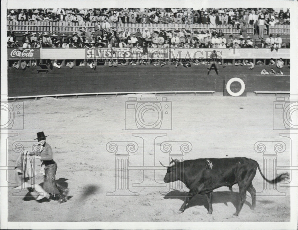 1941 Press Photo Conchita Cintron in the bull fighting ring - Historic Images