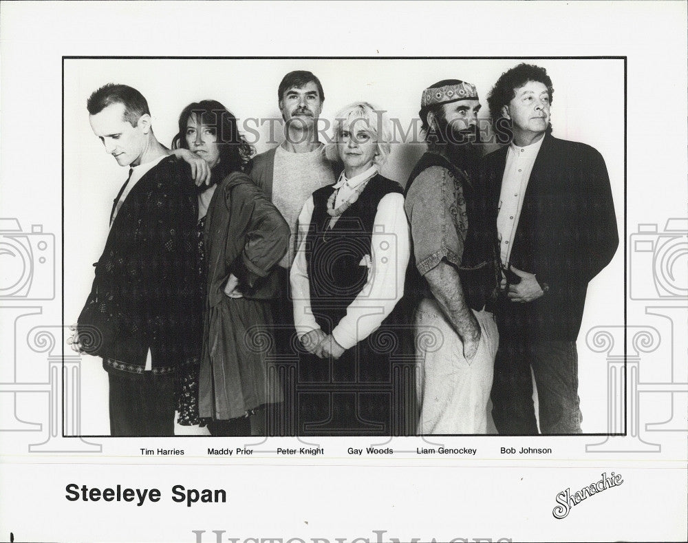 1996 Press Photo Band, Steeleye Span,THarries,M Prior,P Knight,G Woods,LGenockey - Historic Images