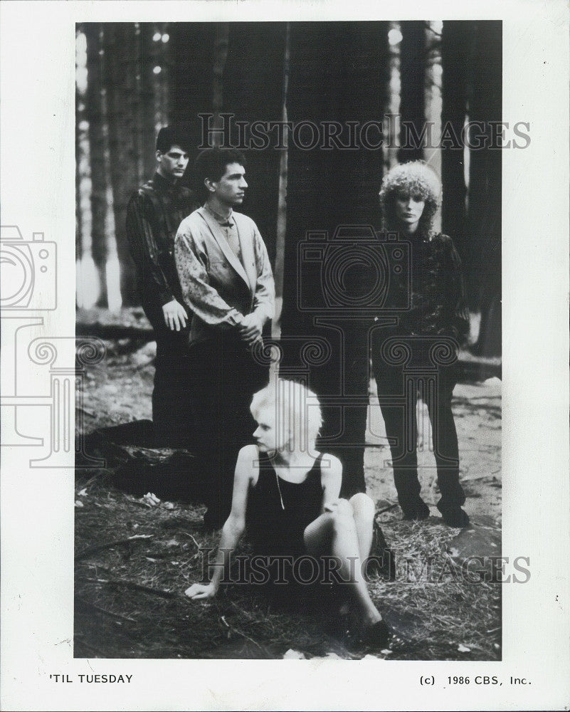 1986 Press Photo Members Of New Wave Group Til Tuesday - Historic Images