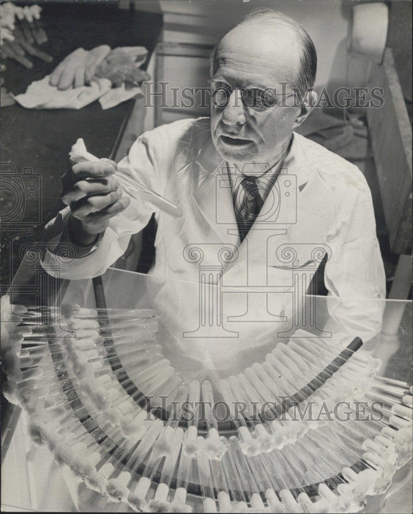 1951 Press Photo Dr BM Duggar Mold Scientist - Historic Images