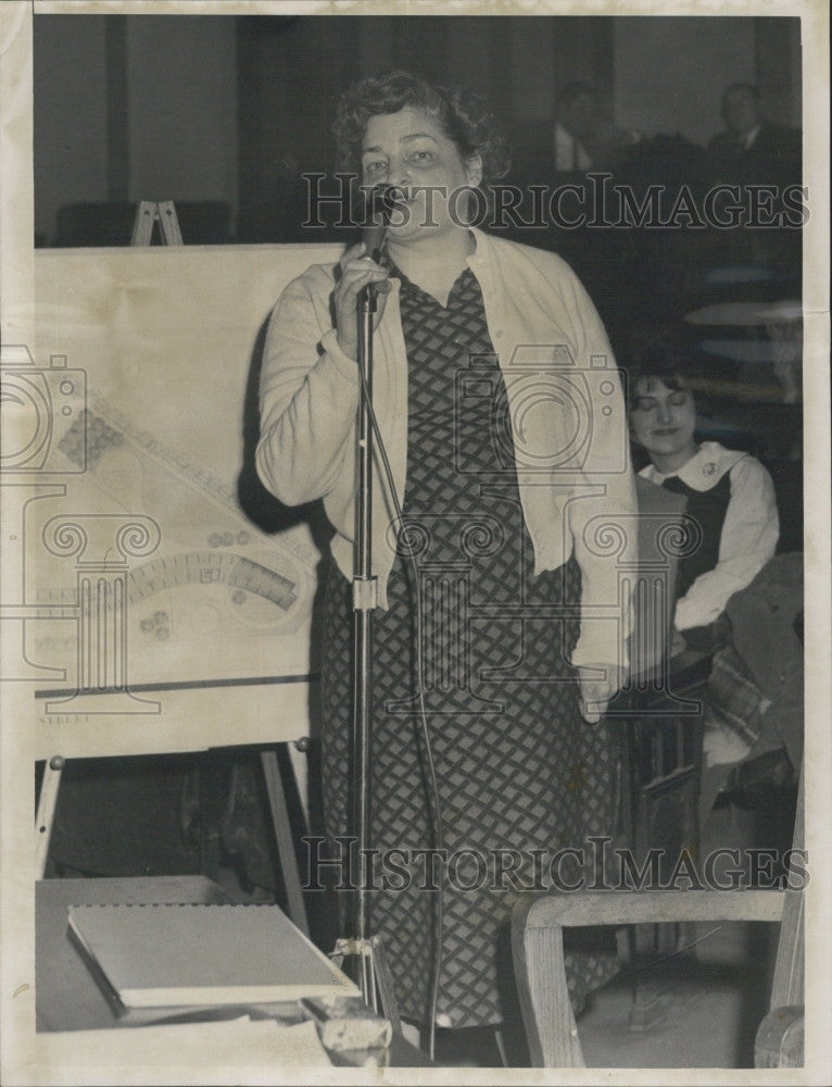 1963 Press Photo Marjorie Redgate at bra hearing at State house - Historic Images