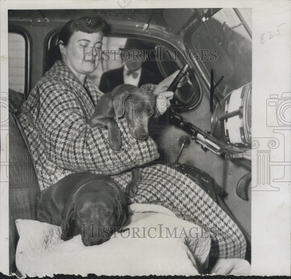 1957 Press Photo sleepwalker Marcia Wollner and her dogs after joyride - Historic Images