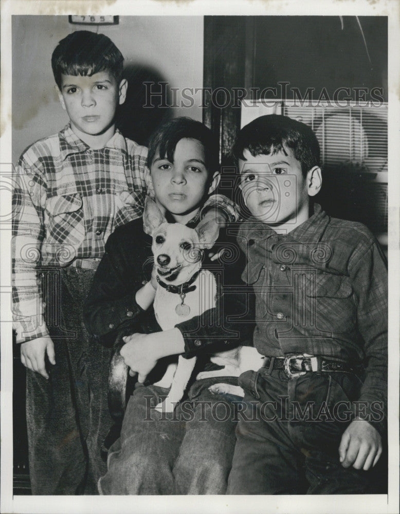 1954 Press Photo Sons of Daniel Cordeiro Who Killed Wife With Shotgun - Historic Images