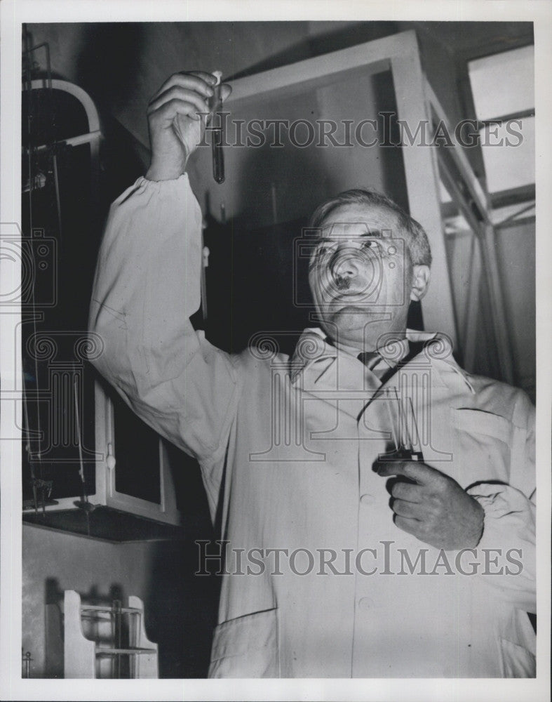 1951 Press Photo Professor Vlacimir Perotti, Russian born Psyciologist in Rome - Historic Images