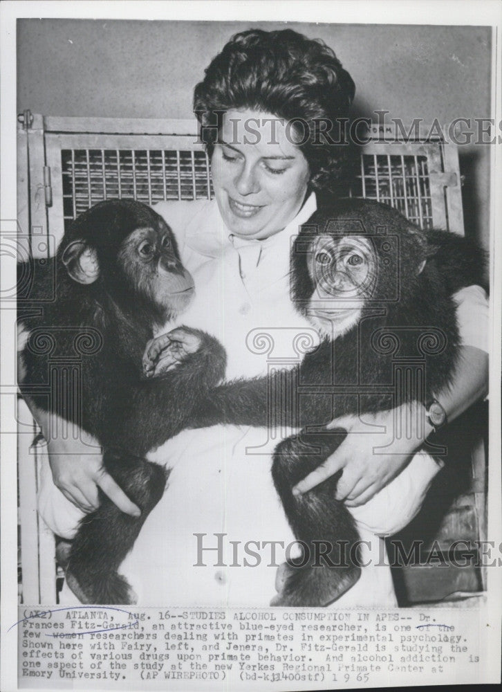 1965 Press Photo Dr Frances Fitz-Gerald and some primates - Historic Images