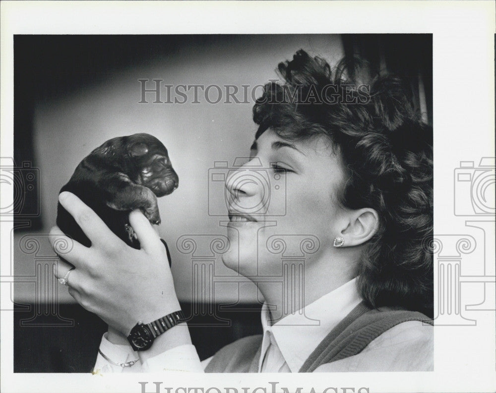 1985 Press Photo Barbara Cuputo cuddles up to the new born pups. - Historic Images