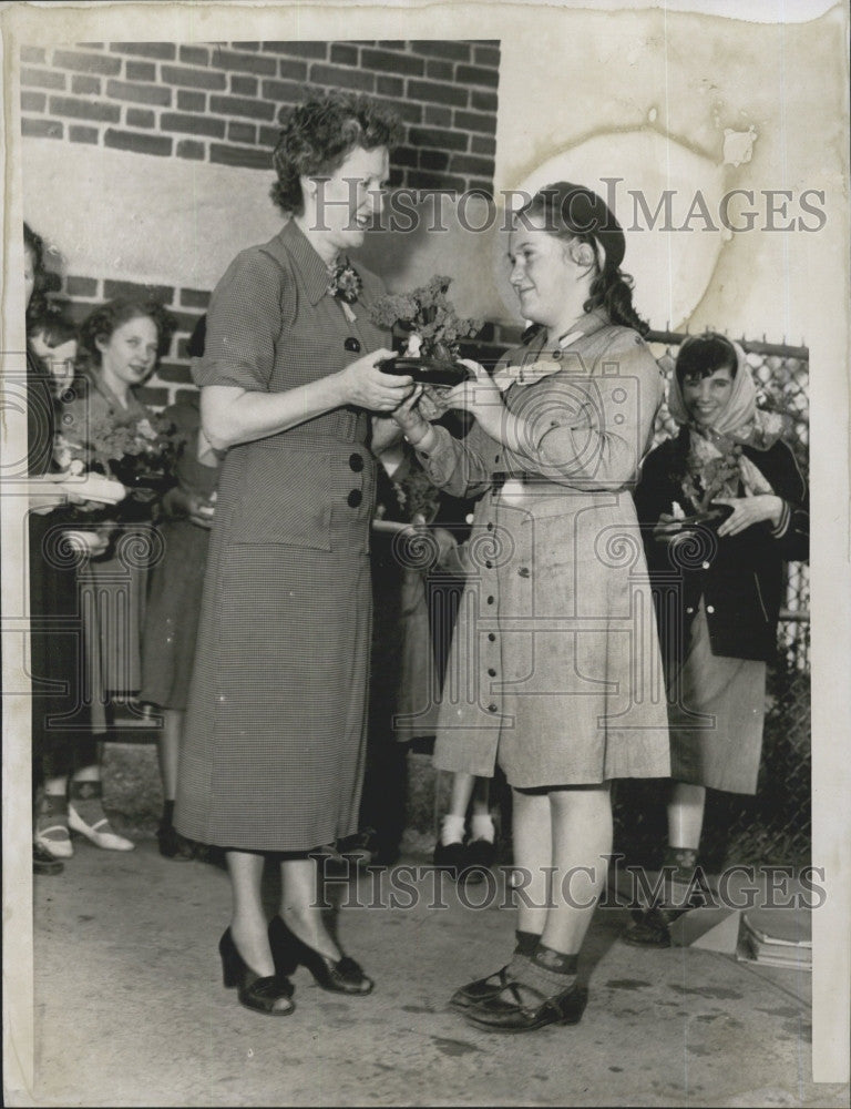 1952 Press Photo Mrs. Francis Fullerton &amp; Mrs. James Cashin With Ming Trees - Historic Images