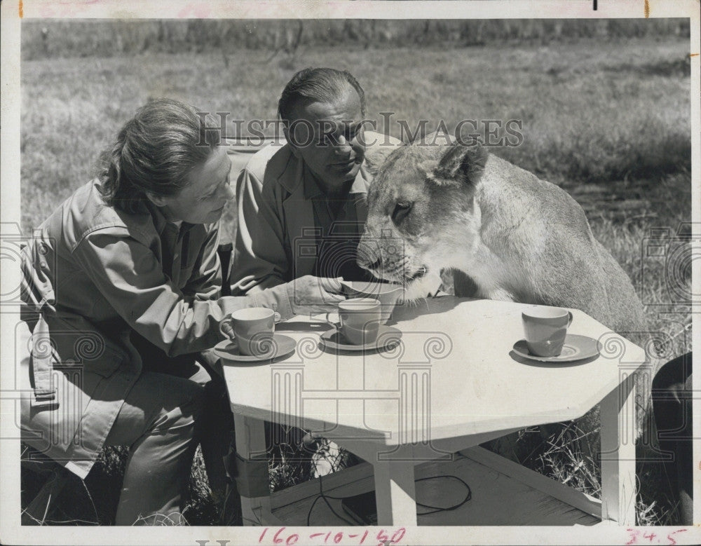 1972 Press Photo Jack Paar Host &quot;Jack Paar&#39;s African Diary&quot; wife Miriam Lioness - Historic Images