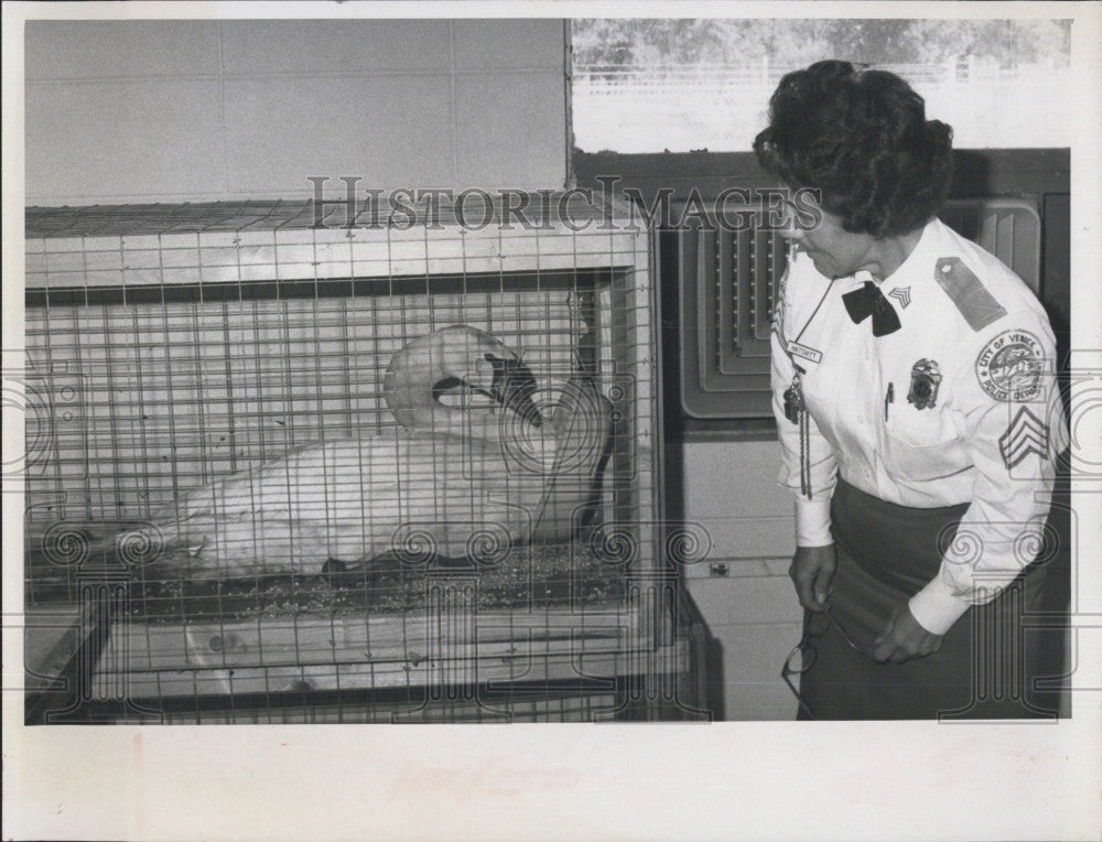 1967 Press Photo Sgt Inez Hatchitt Swan Lands at Police Station - Historic Images