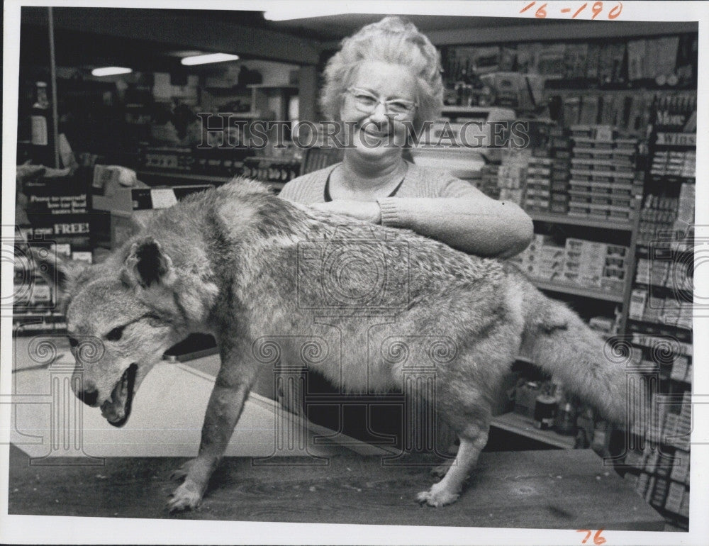 1978 Press Photo Mrs. Luther Guynn Shows Off Her Coyote Mounted By Taxidermist - Historic Images