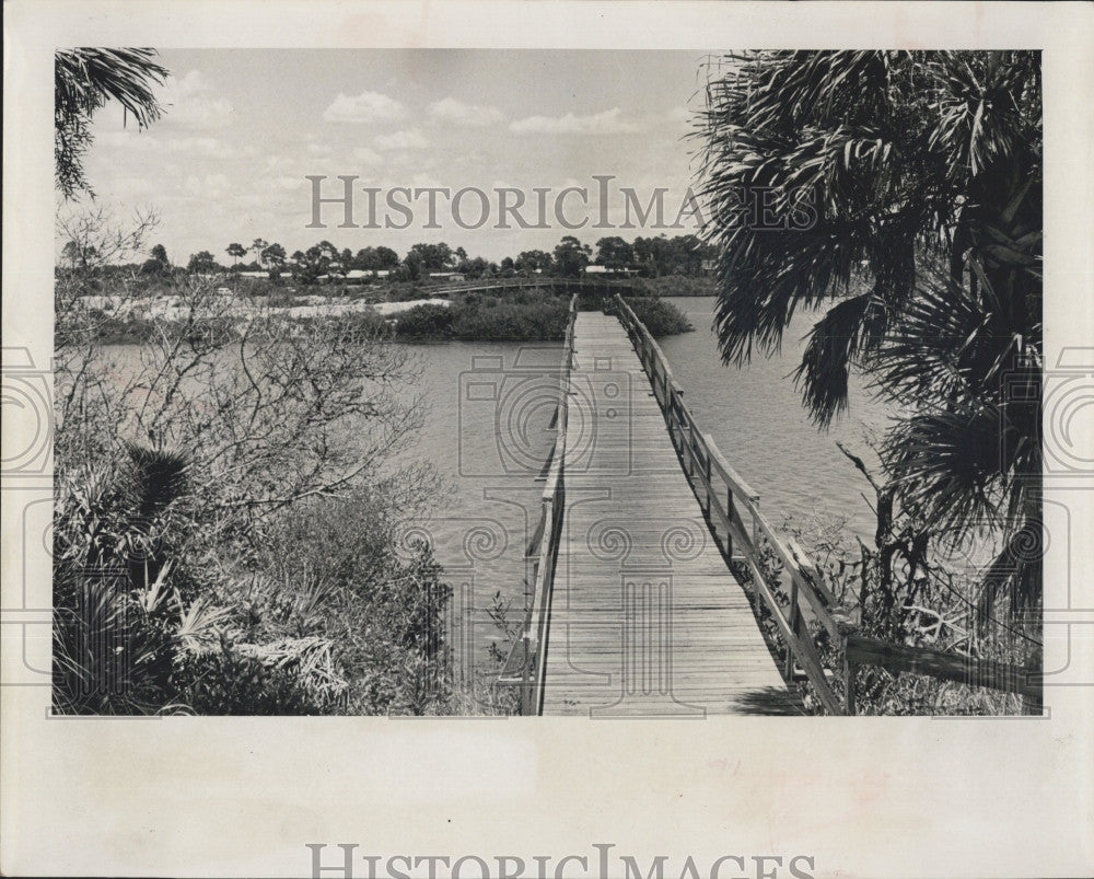 1965 Press Photo A footbridge in St Petersburg Florida - Historic Images