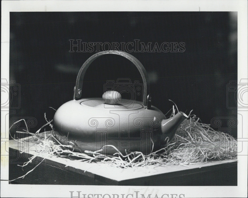 1982 Press Photo porcelain enamel tea kettle - Historic Images