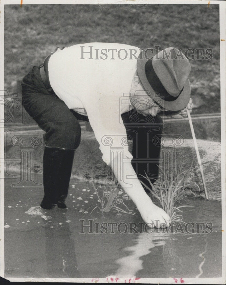 Press Photo Emperor Hirohito of Japan - Historic Images