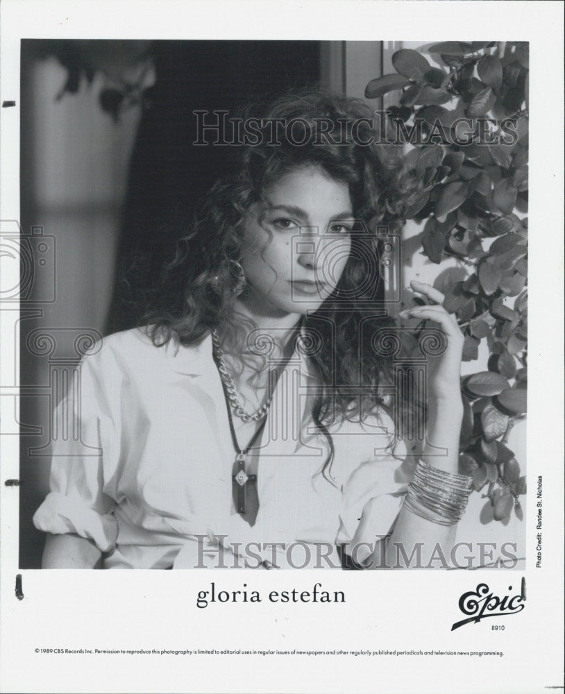 1991 Press Photo Singer Gloria Estefan - Historic Images