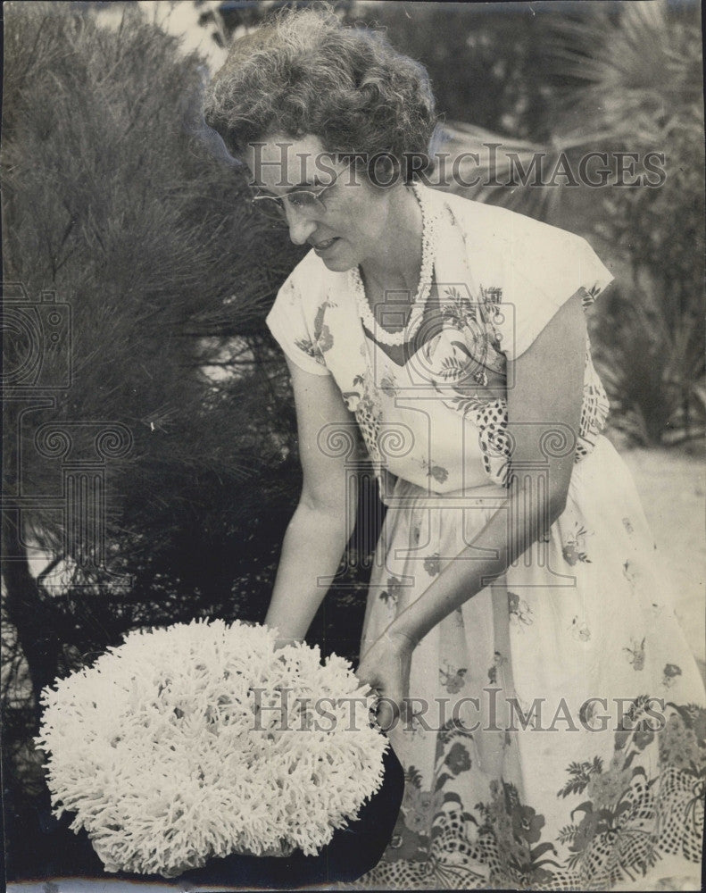 1949 Press Photo Adelaide Casey With Birds Nest Coral - Historic Images