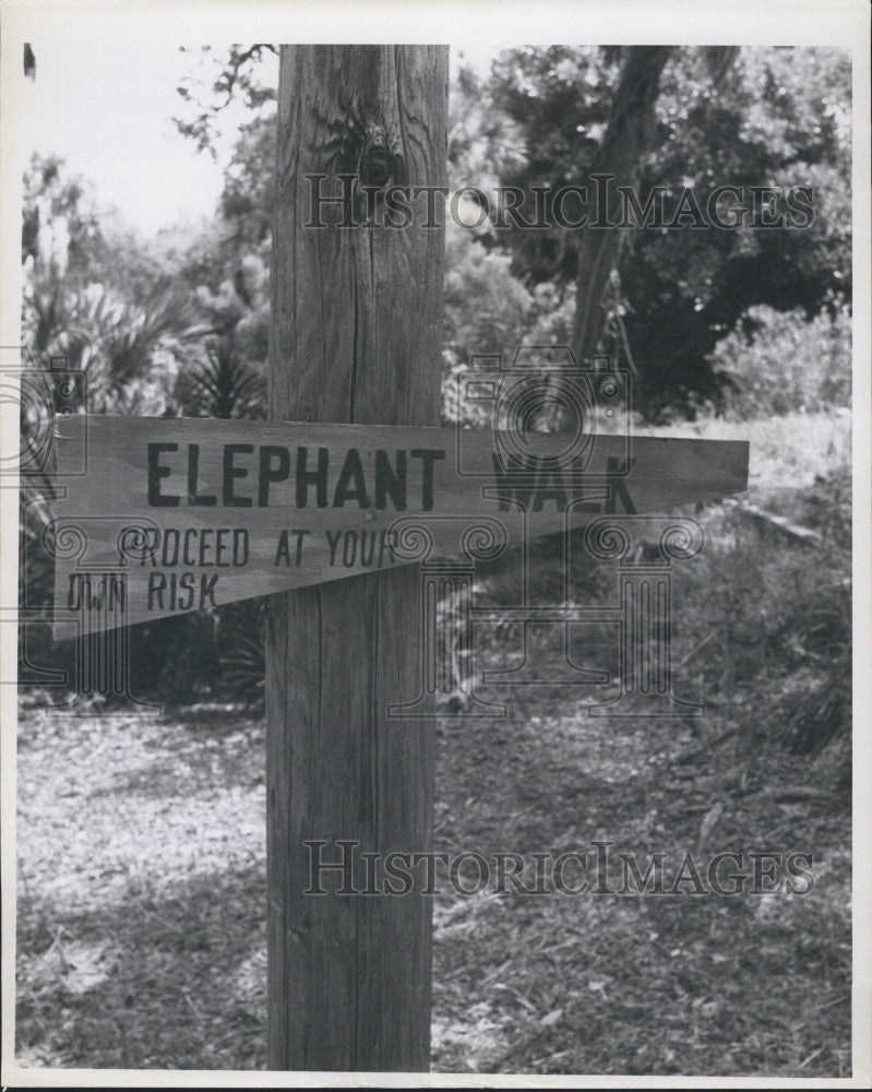 1968 Press Photo Elephant walk in Florida nature area - Historic Images