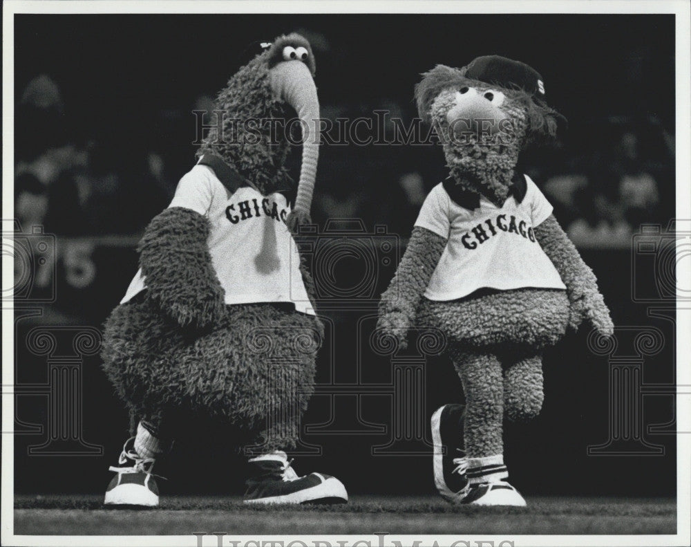 1981 Press Photo Chicago Mascots - Historic Images