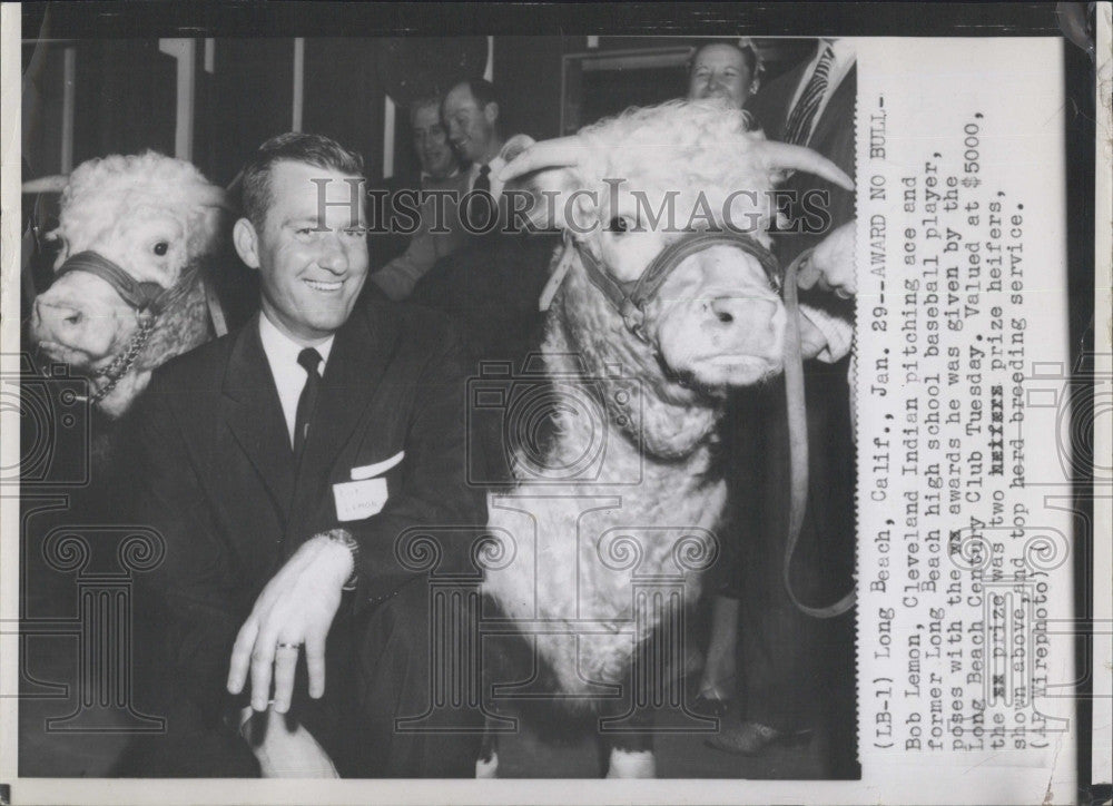 Press Photo Bob Lemon, Cleveland Indians Pitcher with Prize Heifers - Historic Images