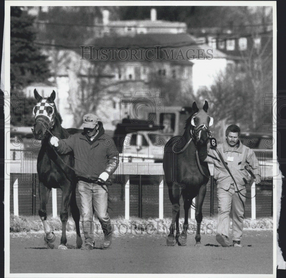 Press Photo Horse Racing &quot;Sunshine &#39;N Show&quot; &quot;Impressive Liza&quot; Suffolk - Historic Images