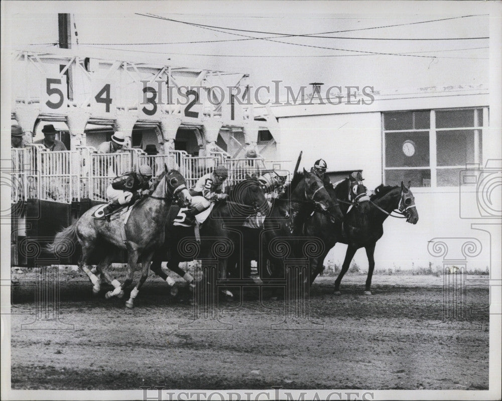 1965 Press Photo Start of Massachusetts Handicap, 1965 - Historic Images