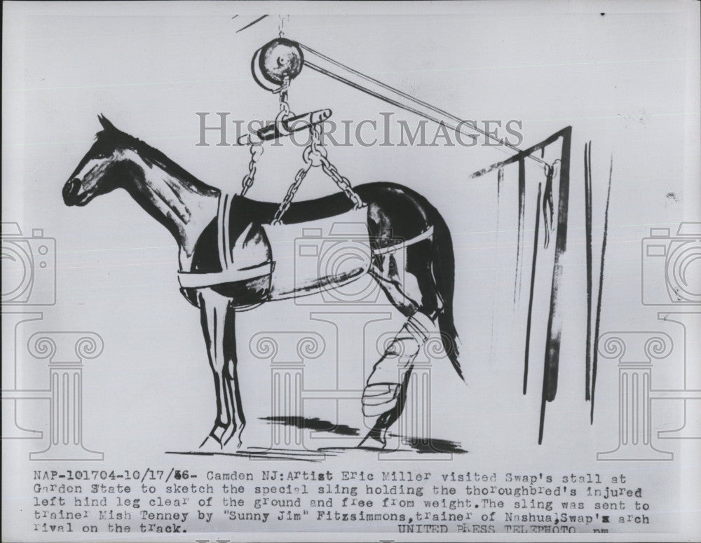 1956 Press Photo Sketch of Sling Holding Injured Horse Leg by Artist Eric Miller - Historic Images