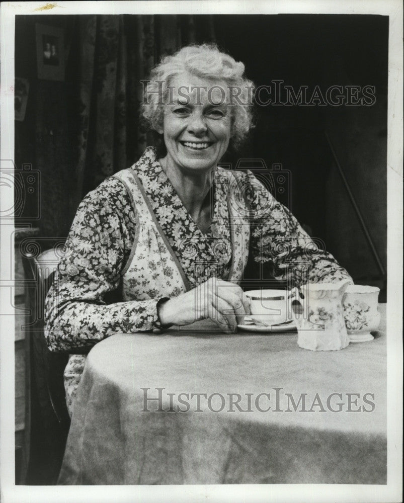 1979 Press Photo Actress Helen Stenborg in &quot;Da&quot; Play - Historic Images