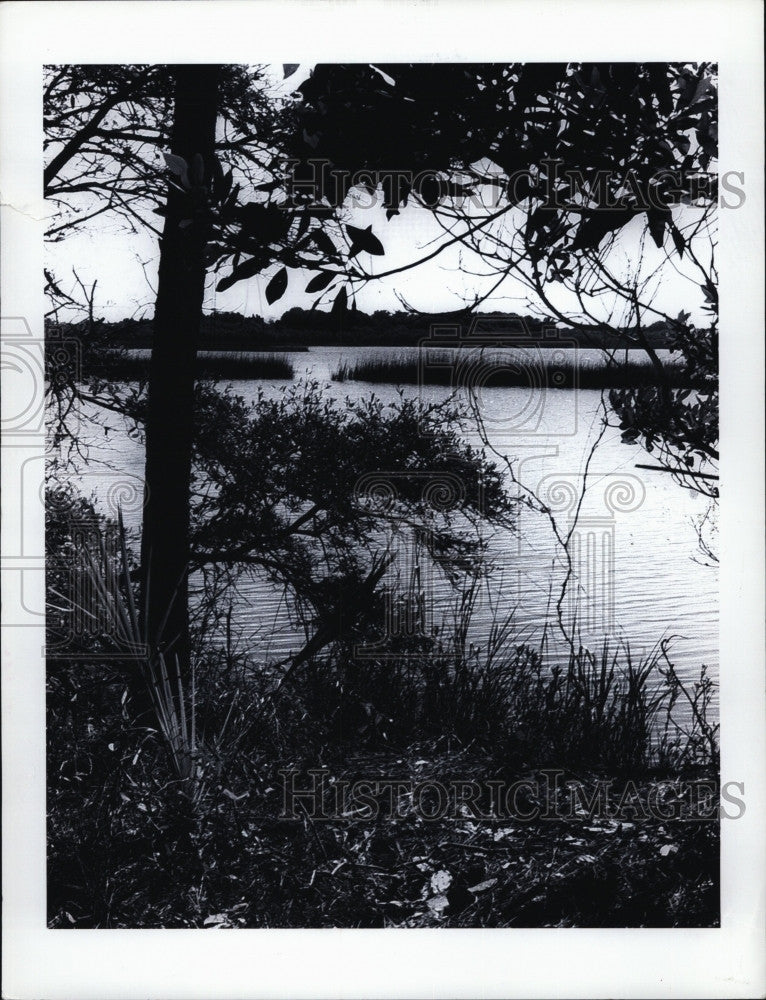 2000 Press Photo Tom Yawkey Wildlife Center In South Carolina - Historic Images