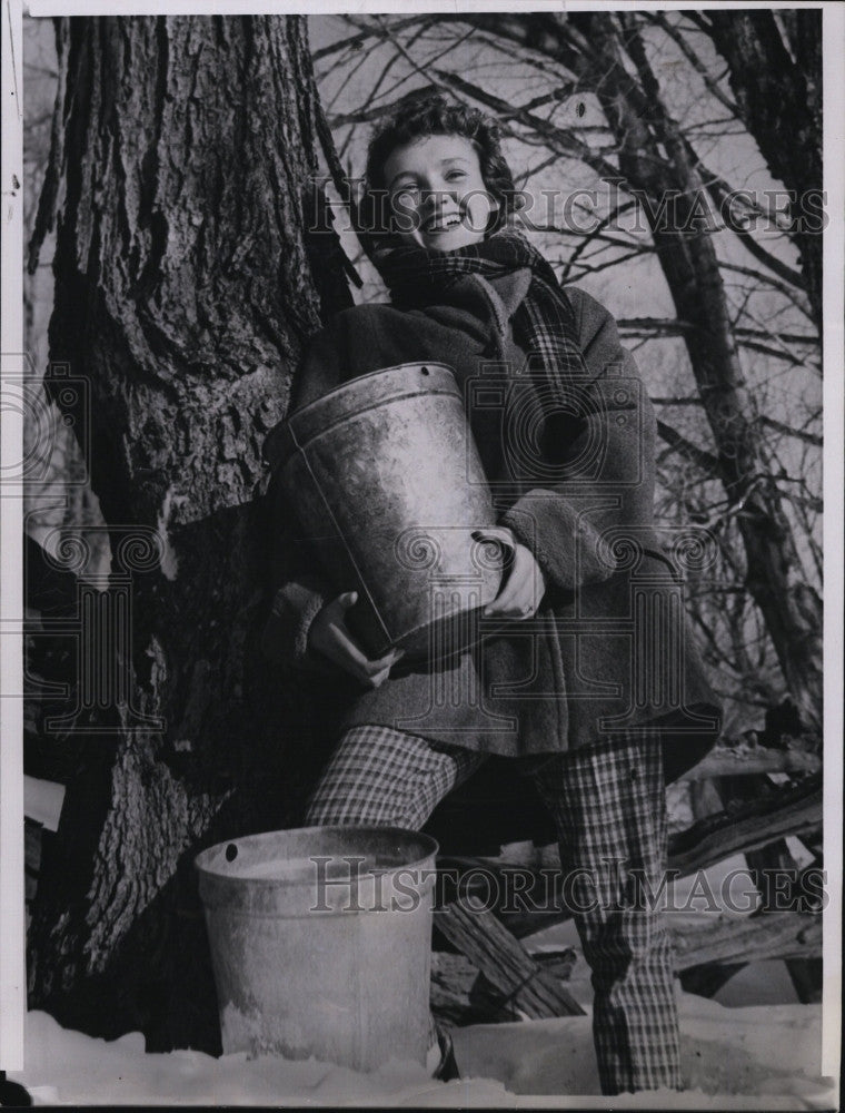 1960 Press Photo Judy Lawson Maple Queen Gathering Maple Syrup - Historic Images