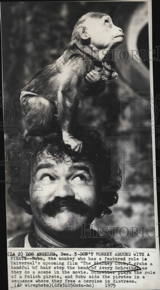 1975 Press Photo Avery Schreiber and monkey Bubu in &quot;The Blarney Cock&quot; - Historic Images