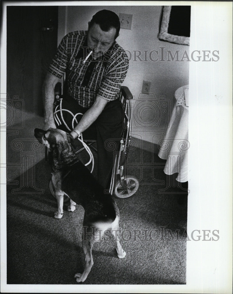 1983 Press Photo  Ashley Costas, attached rope to Jingles to his wheelchair. - Historic Images