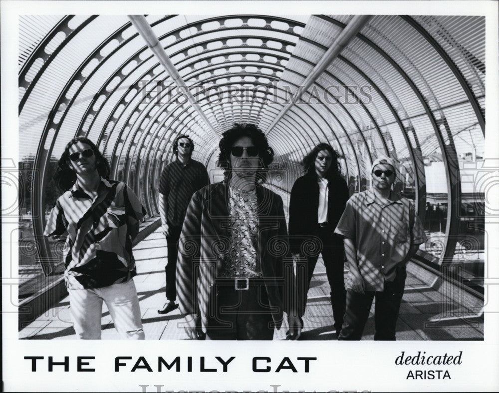 Press Photo The Family Cat  British independent band, formed in Stoke Newington. - Historic Images