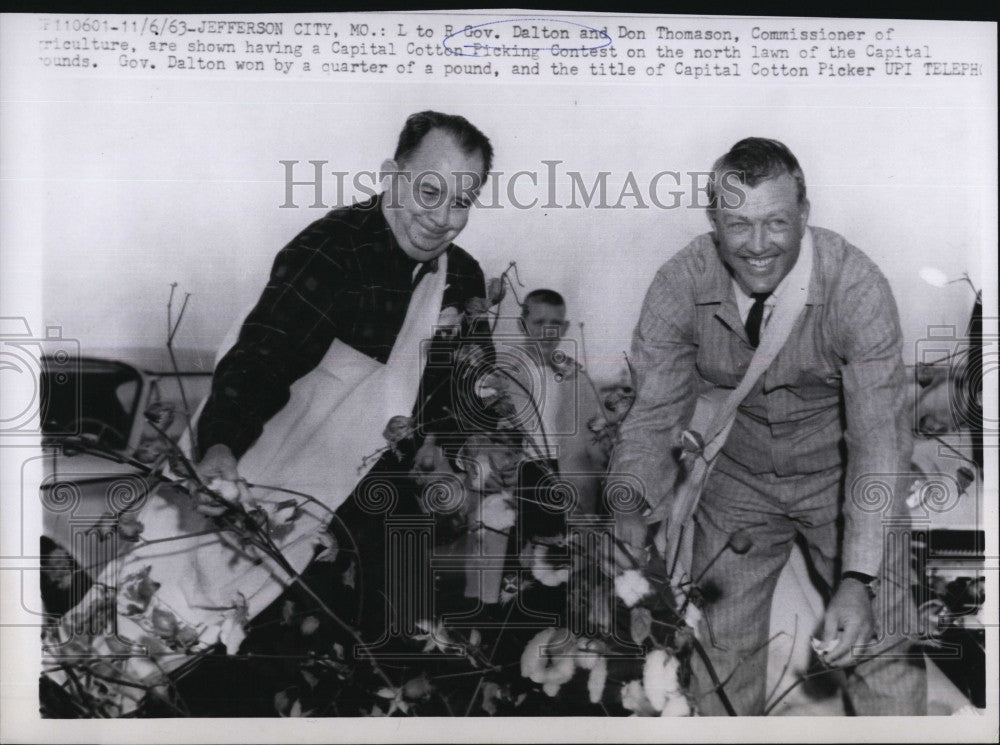 1963 Press Photo Gov. Dalton and Don Thomason ,having A Capital Cotton Picking. - Historic Images