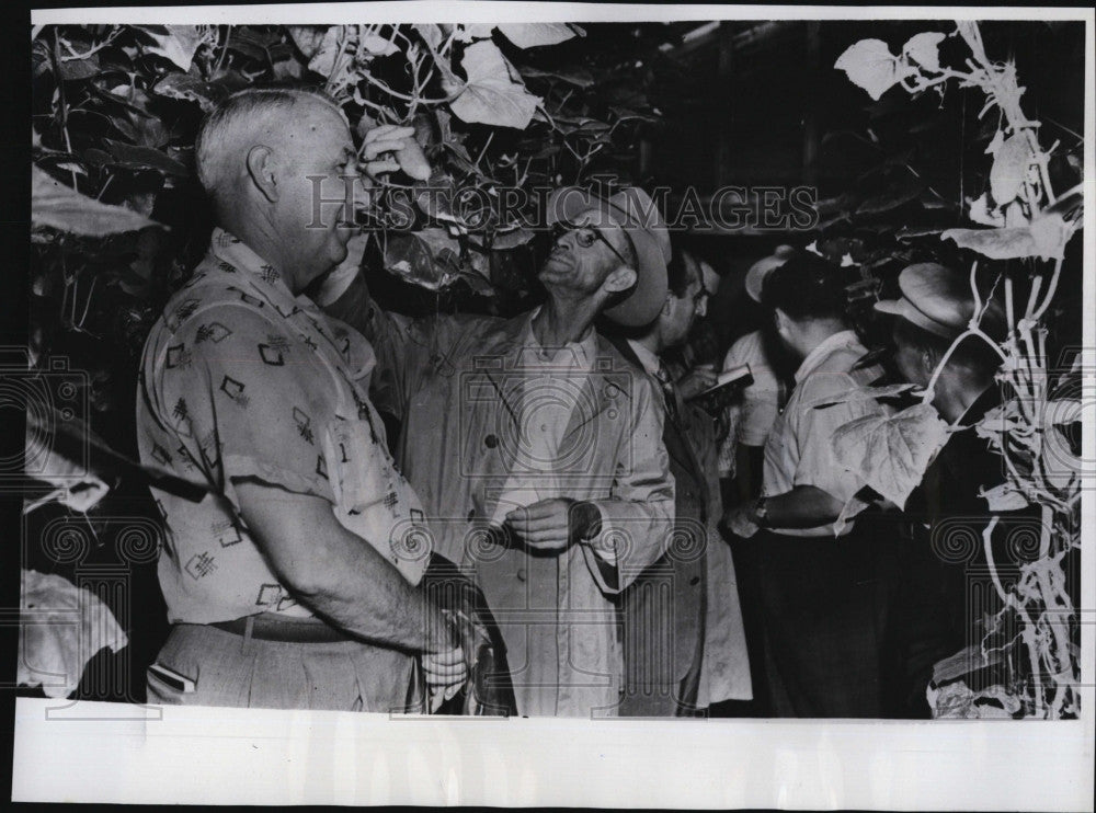 1955 Press Photo American farmers Delegation visit Collective Farm in Russia. - Historic Images