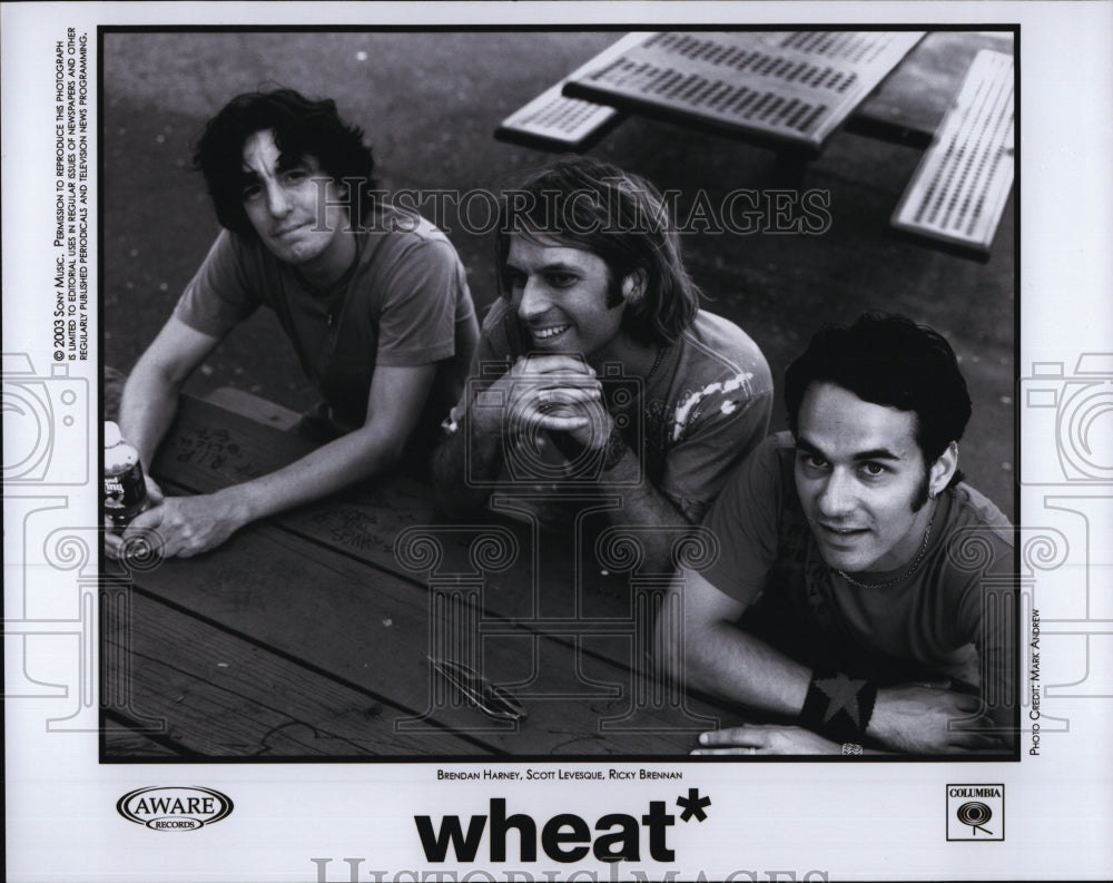 2003 Press Photo Wheat, Indie Rock Band formed by Vocalist Scott Levesque. - Historic Images