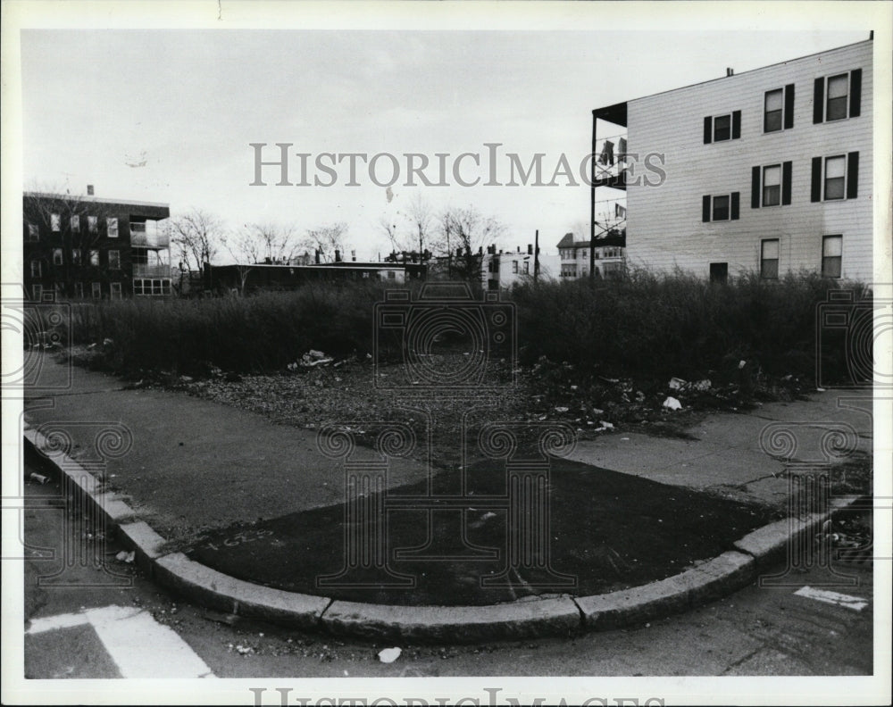 Press Photo Overgrown lots owned by State Rep Michael Flaherty - RSM00689 - Historic Images