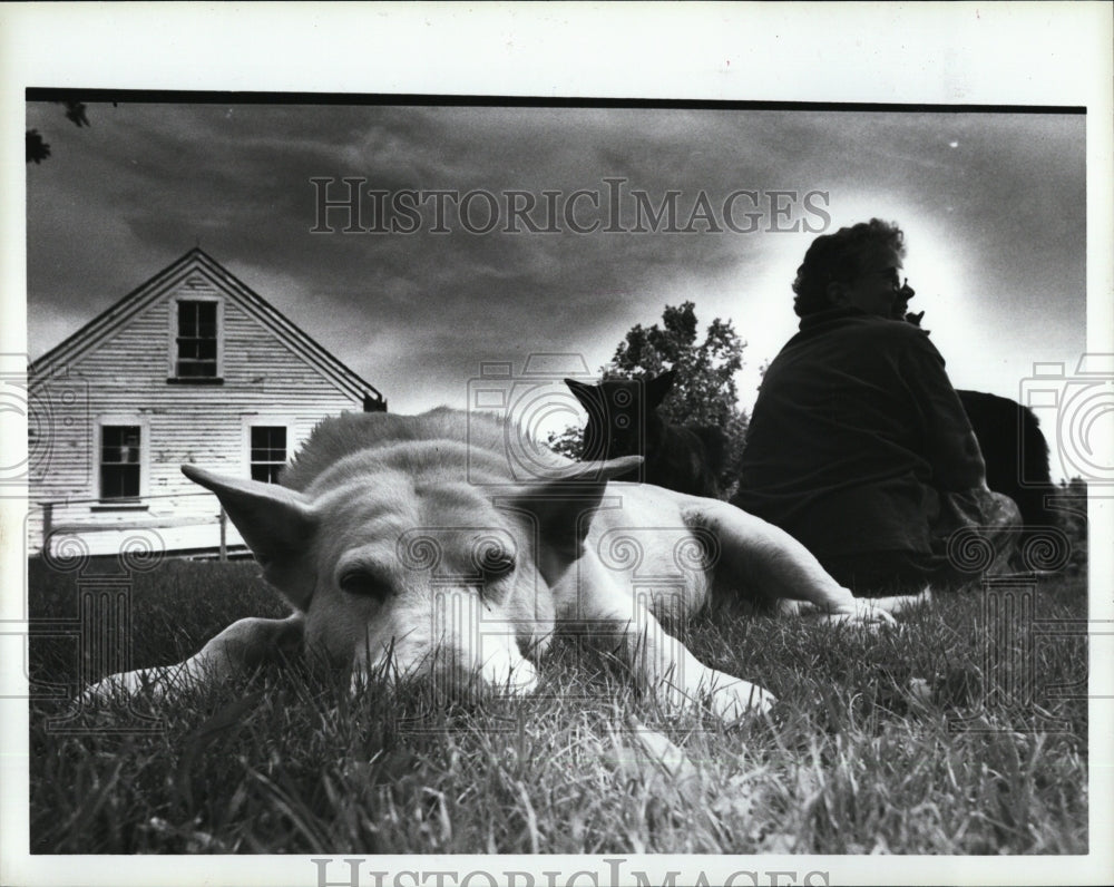 1993 Press Photo Elizabeth Thomas Author of dog book - Historic Images