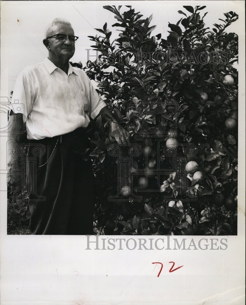 1961 Press Photo Ernest I Owens Meyor Lemon Tree with fruit - Historic Images