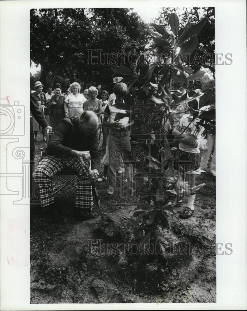 1981 Press Photo Pat Wall of Bellaire, Fla. does gardening from wheelchair - Historic Images