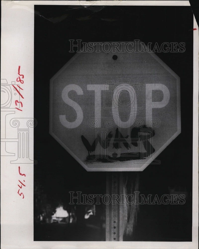 1968 Vandalized Stop sign in Florida protesting war - Historic Images