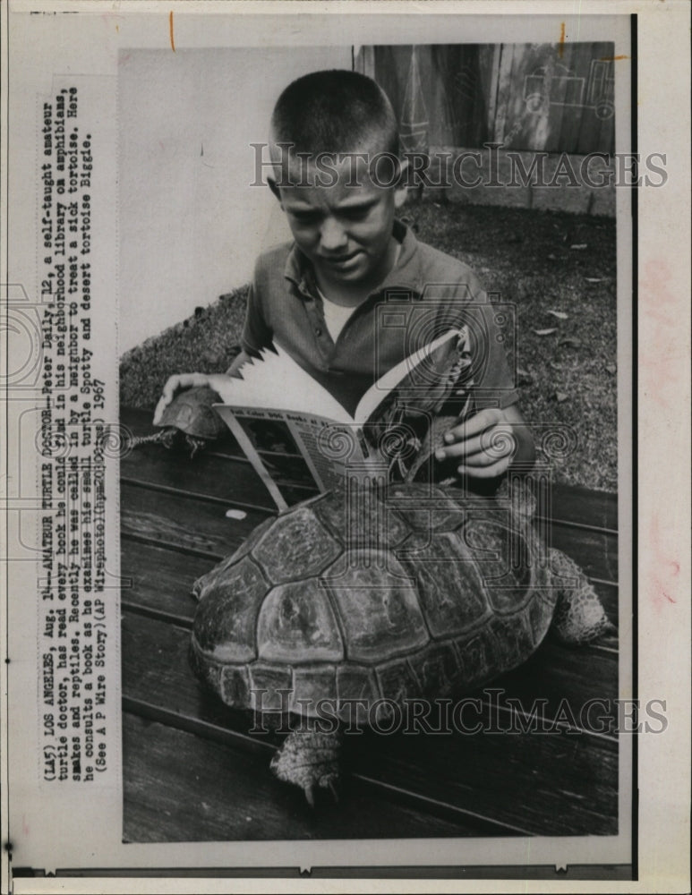 1967 Press Photo Peter Daily and a desert tortoise - RSM04701 - Historic Images