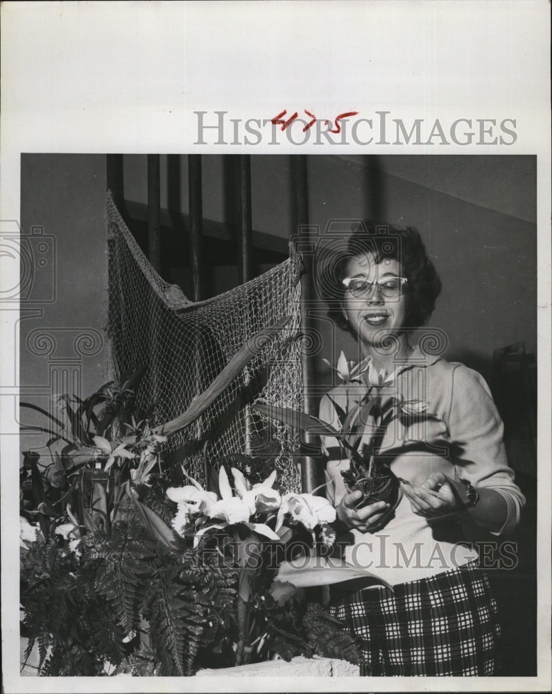 1961 Mrs Roger L. Miller 7 planters for room dividers - Historic Images