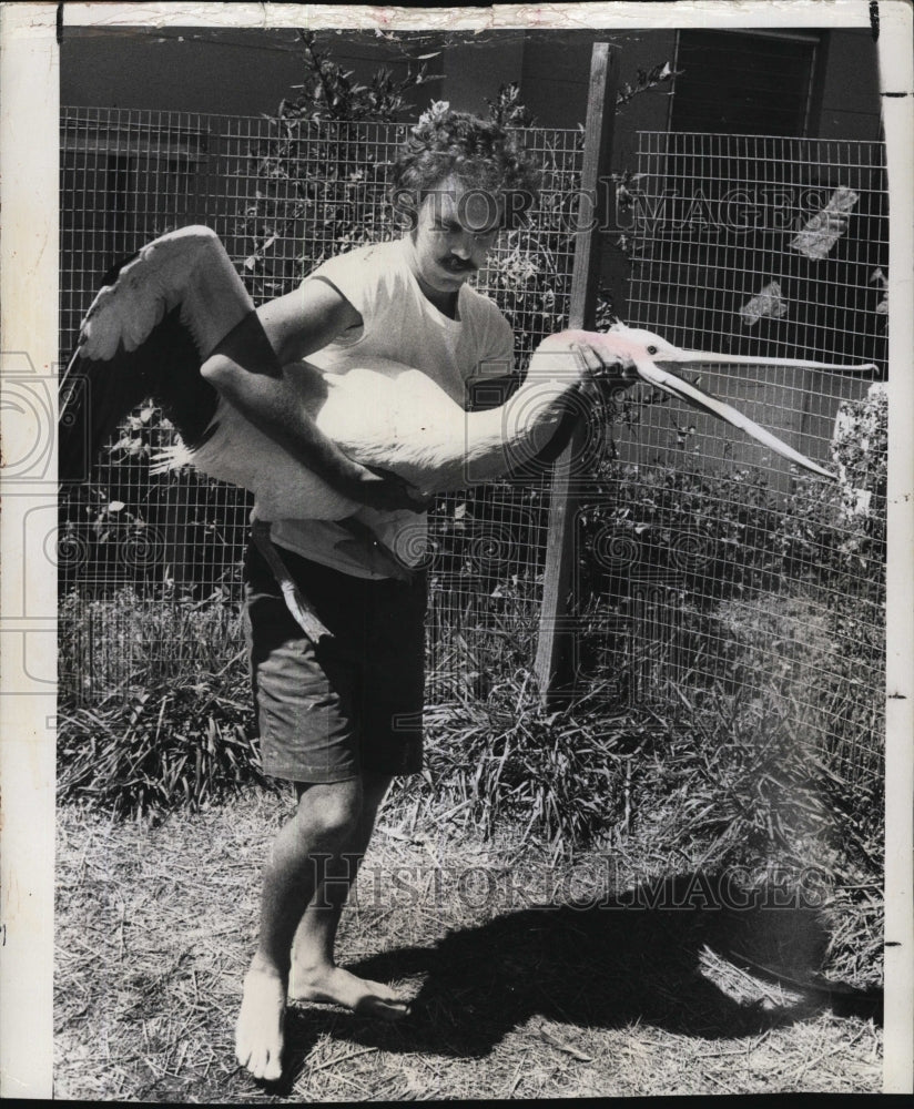 1976 Press Photo Suncoast Seabird Sanctuary Ralph Heath &amp; a pelican - RSM05143 - Historic Images