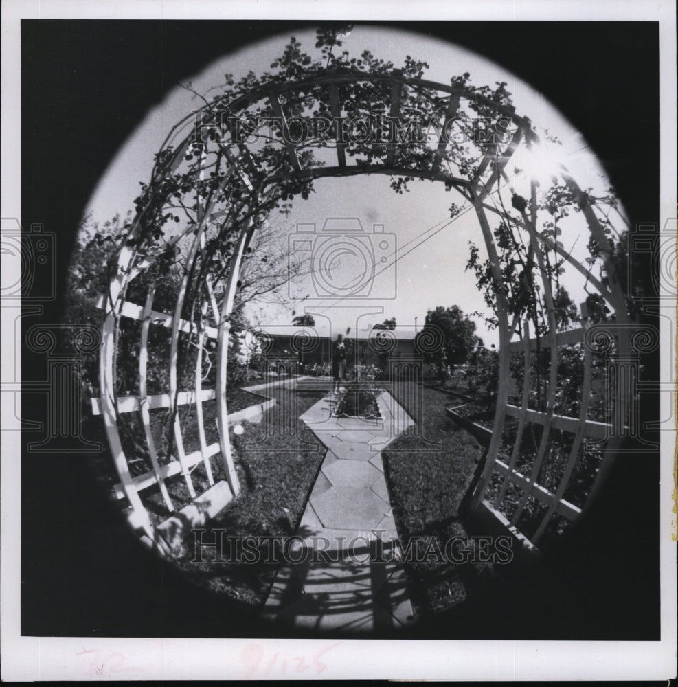 1971 Press Photo Mrs Norman Tracht Gardening - RSM05311 - Historic Images