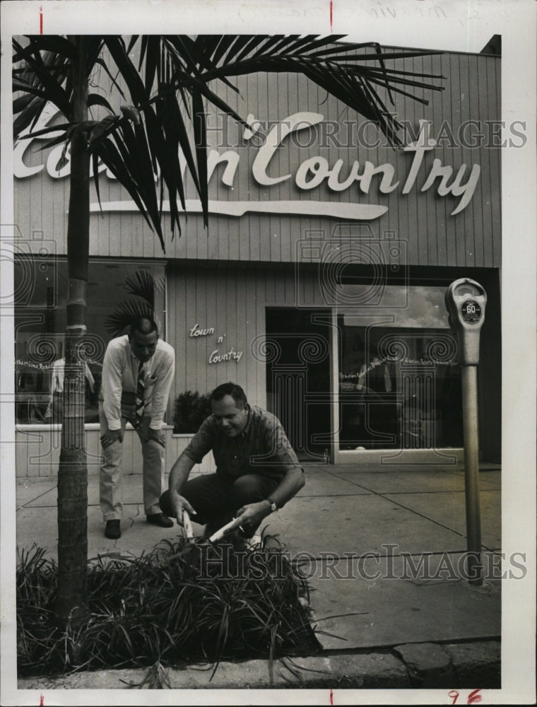 1960 Press Photo Marvin Weiss of Sarasota Florida trims some plants - Historic Images