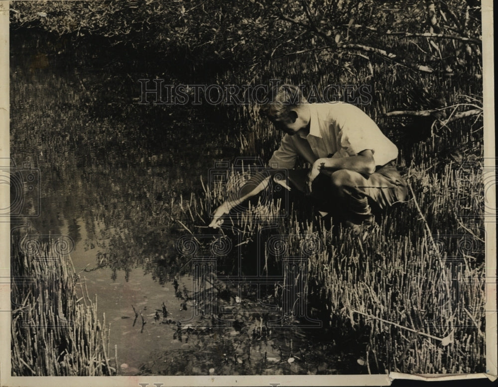 1954 Press Photo County Mosquito Control Director A.L. Lafferty - RSM07469 - Historic Images