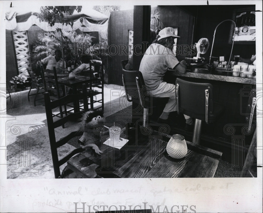 1980 Press Photo Poolside bar at Mother Tucker;s in Pinellas, Fla, - Historic Images