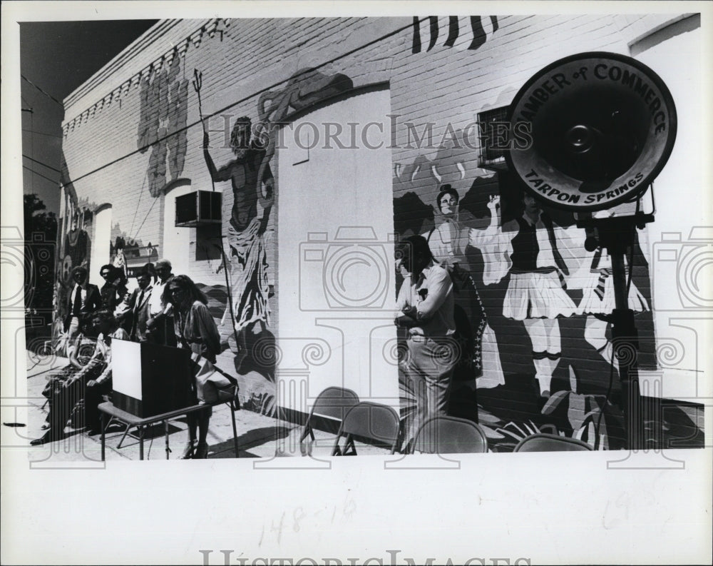 1978 Press Photo Artist Elizabeth Inidanos worked on the murals at Tarpon Spring - Historic Images